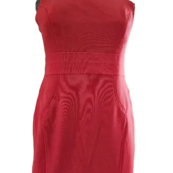Black Label by Evan-Picone Reddish Pink Shift Sleeveless Dress-Size 6 - Picture 3 of 8